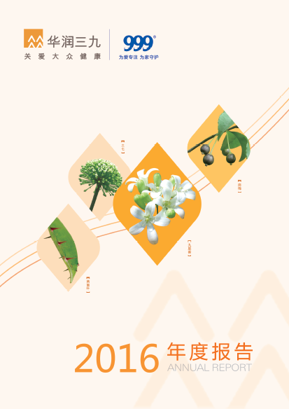 爱情岛论坛
：2016年年度报告