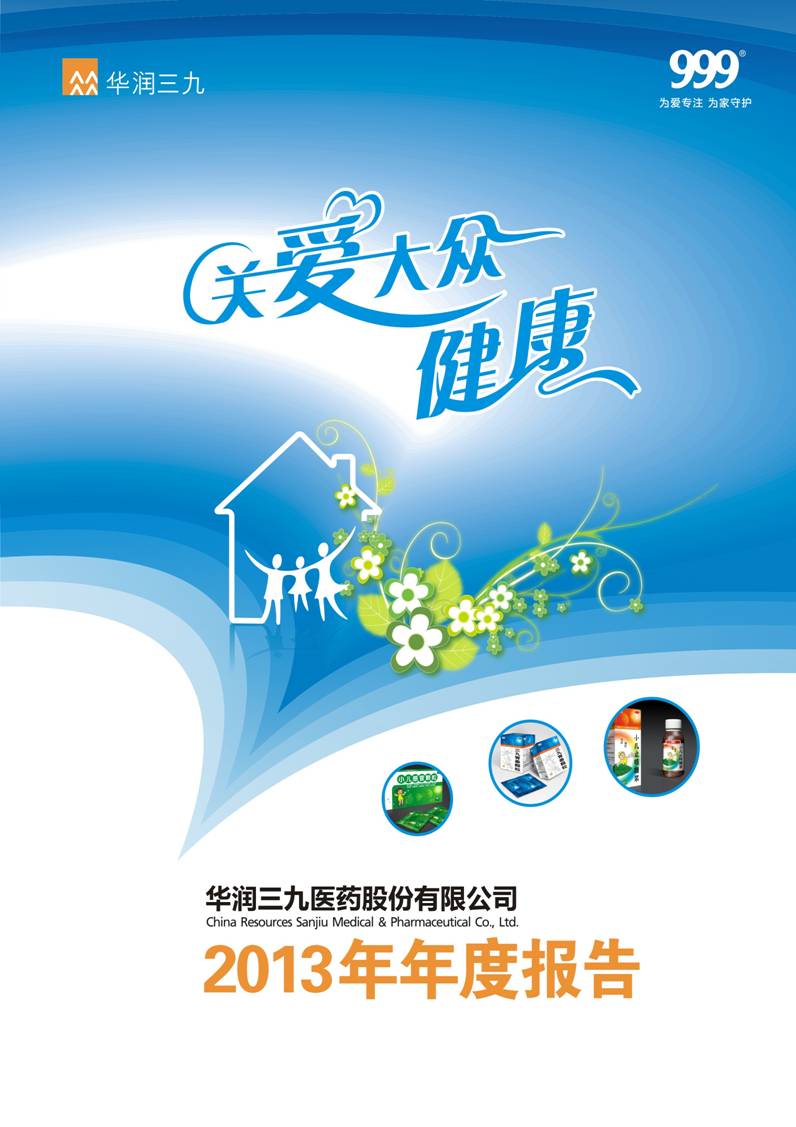 爱情岛论坛
：2013年年度报告