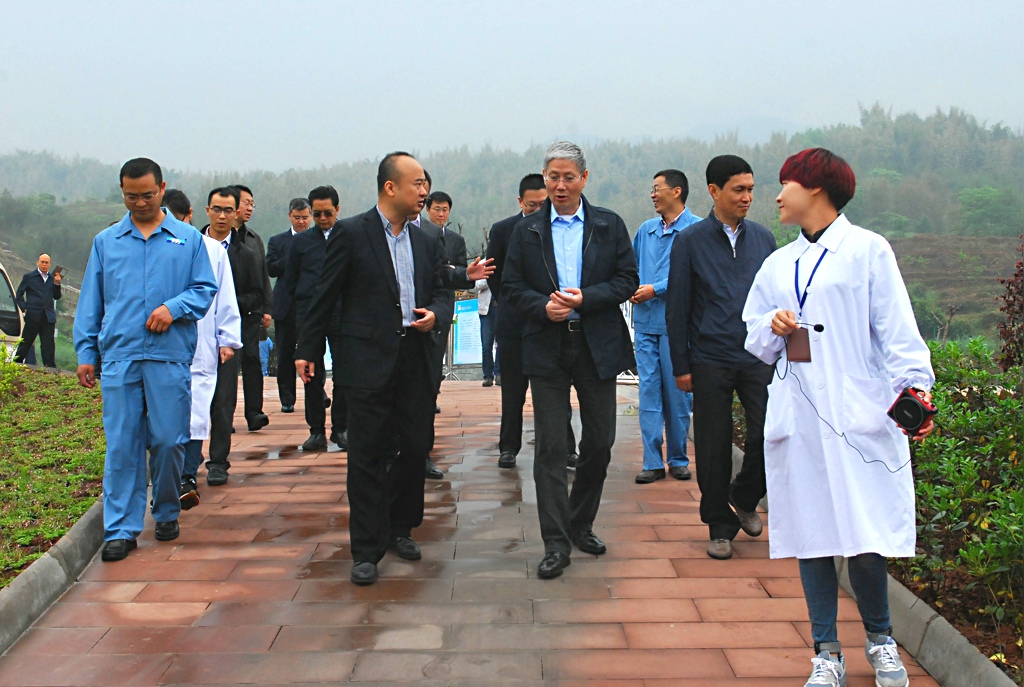 傅董调研种子种苗基地(爱情岛论坛
用)